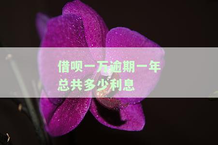 借呗一万多逾期一年会有什么后果？包括被起诉和可能的刑事责任，以及罚息情况。