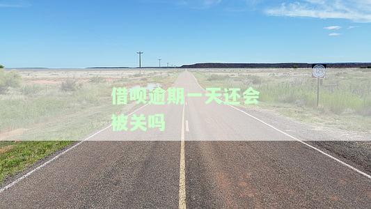 借呗逾期一天还会被关吗