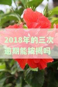 2018年逾期记录影响贷款买房吗？现在还能申请吗？解决方案是什么？