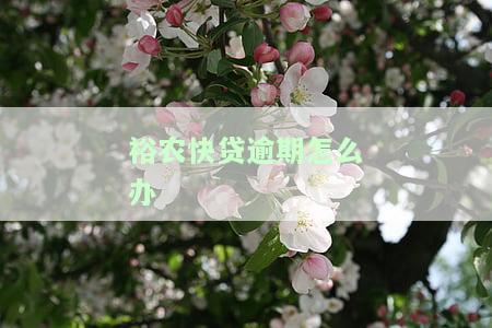 裕农快贷逾期怎么办理？延期还款操作指南