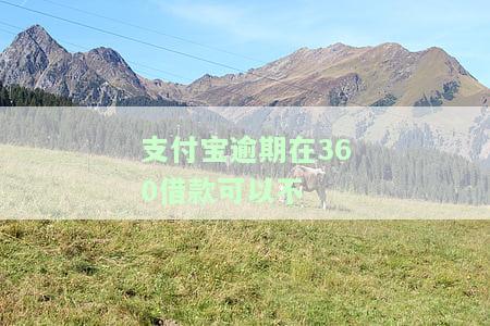 360支付宝借款还不上怎么办？还款方法与注意事项