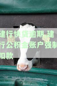 建行公积金贷款逾期怎么办？影响、处理及还款方式全解析