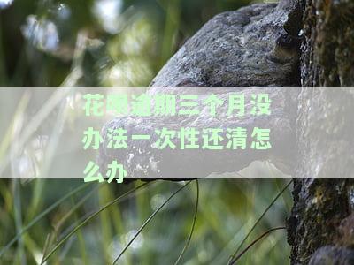 花呗逾期三个月后还款，还能分期吗？影响征信吗？