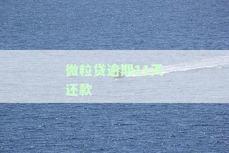 微粒贷逾期11天全部还清后，额度是否会恢复？