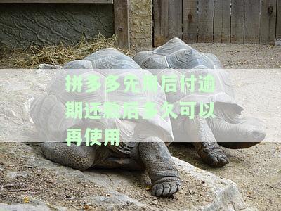 拼多多先用后付逾期还款后多久可以再次使用及相关问题解答