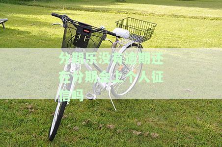 分期乐没有逾期正常还款会影响贷款吗？在分期过程中是否会上个人征信？如果已经按时还款却无法再借款，可能是什么原因？