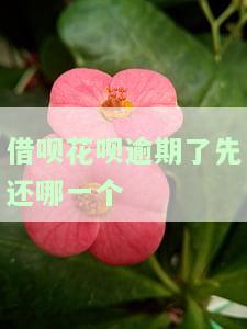 借呗花呗逾期了先还哪一个-花呗和借呗都逾期了,还完花呗可以先用吗?