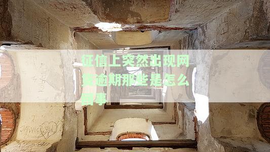 征信记录显示网贷过多，如何解决？影响大吗？