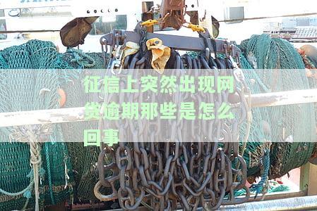 为什么征信突然有逾期了？