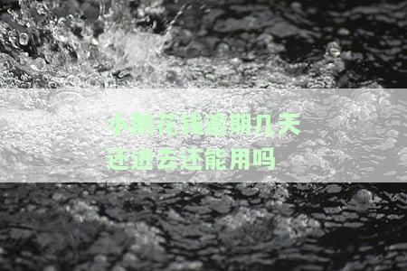 小鹅花钱逾期后能否再次借款？已还清能否恢复额度？逾期6个月如何还款？