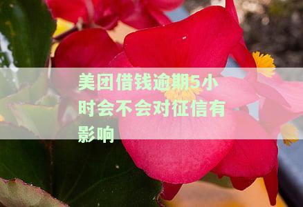 美团借钱逾期几天会要求全额还款？真实经历分享！逾期多少钱会立案？