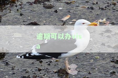 逾期可以办理储蓄卡吗？网贷、信用卡逾期都影响吗？