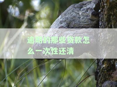逾期怎么谈一次性结清贷款？协商有风险，如何与银行有效沟通一次性还款？