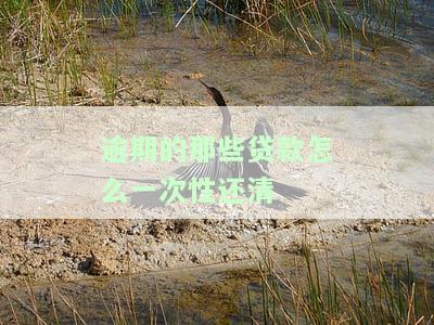贷款逾期后一次性结清是否会上征信？影响大吗？