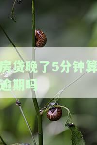 房贷晚还了5小时算逾期吗？晚还多久会影响征信及处理方法