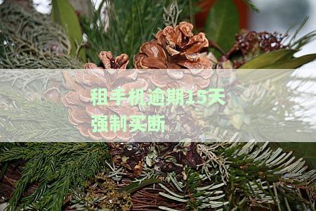 租手机逾期多久会被起诉？真实案例分享与时间限制解析
