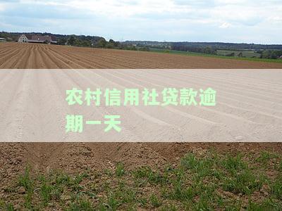农村信用社贷款逾期一天后能否继续贷款？安全吗？逾期处理方法是什么？