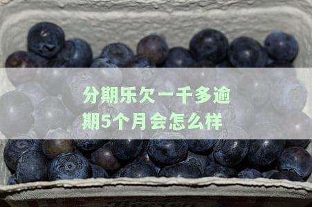 分期乐欠1000块钱逾期6个月会起诉吗？已逾期两个月、七个月是否为黑户？逾期变成两千多算高利贷吗？
