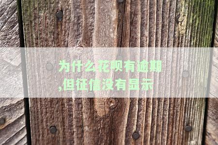 有花呗逾期信息，但查不到账单？该怎么办？