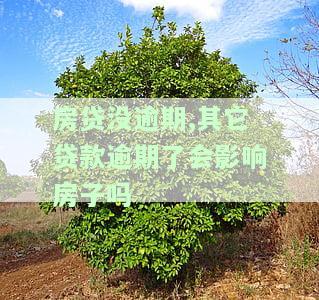 房贷没有逾期，但其他贷款逾期或被法院强制执行，影响个人信用
