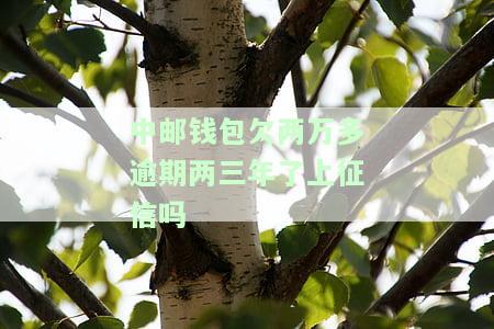 中邮钱包欠两万多逾期两三年了上征信吗-中邮钱包欠两万多逾期两三年了上征信吗有影响吗