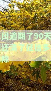 美团逾期了90天但还清了征信多久消除