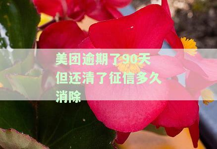 美团逾期了90天但还清了征信多久消除