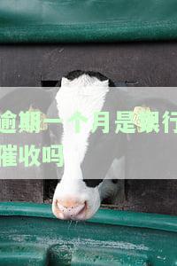 逾期一个月严重吗？探讨银行、网贷、贷款、房贷等各类逾期的后果及影响