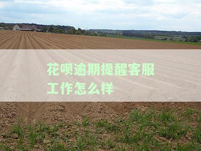 花呗逾期客服打电话说合同昨晚今天几点解除？最晚多久能还清？电话通知合同已下，能否慢慢还款？逾期需全还吗？