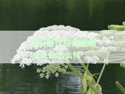 建行房贷逾期15天：对信用有何影响？逾期半月还能自动扣款吗？逾期几个月必须全结清吗？逾期几个小时有无影响？建行房贷逾期1天是否有限额宽限期？