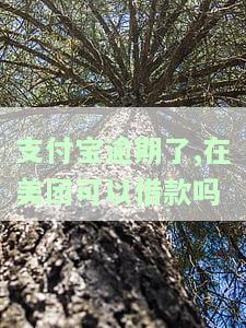 支付宝逾期了,在美团能借款吗？还款方法及替代平台推荐
