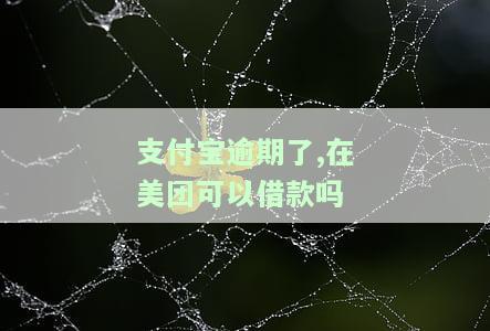 支付宝美团逾期后，还能在哪些借款平台借款或还款？逾期是否会影响乘车出行？