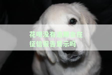 花呗没有逾期会在征信报告上显示吗？解决方案
