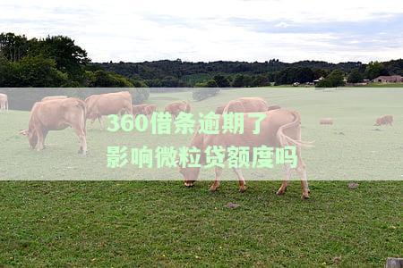 360借条逾期是否会影响微粒贷额度？求解！