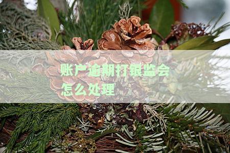 账户逾期打银监会：如何处理及规定