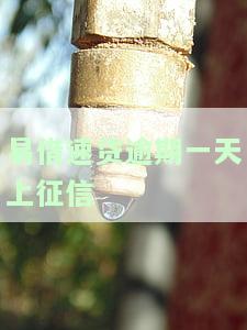 易借速贷等待一天放款：真实情况与放款时间