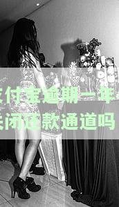 支付宝逾期一年会关闭还款通道吗？解决办法及影响解析