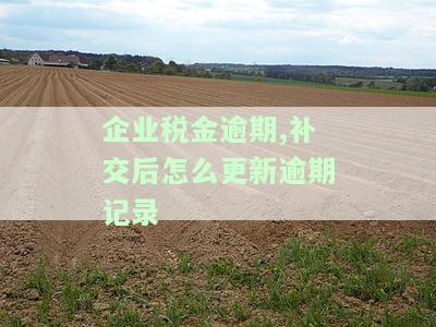 企业税金逾期补交后如何更新逾期记录？