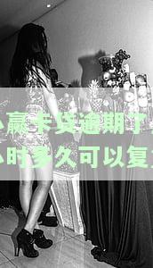 小赢卡贷逾期几天，要求全额还款，能否分期？解决方案是什么？