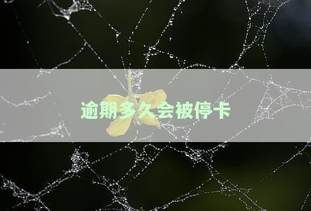 逾期多久会停卡审核？影响因素解析