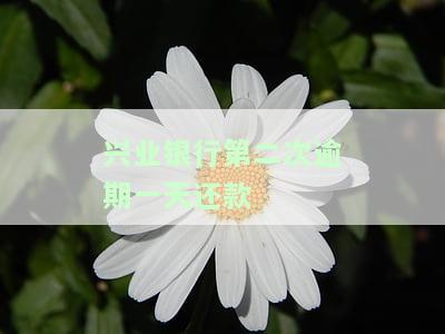 兴业银行二次逾期1天还款是否可行？会对信用产生影响吗？