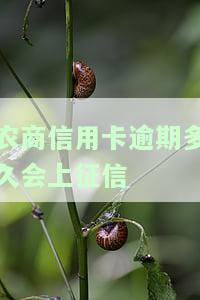 农商行信用卡逾期一天的影响：是否会留下不良记录？推迟还款有何影响？已还款能否继续使用？关于逾期一天是否会上征信的疑问