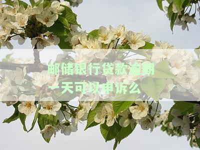 邮储银行贷款逾期一天是否可以申诉？影响征信吗？