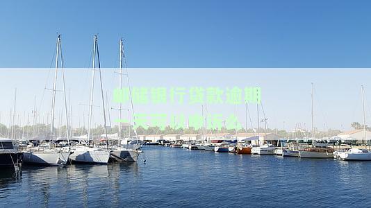 邮储银行贷款逾期一两天会影响征信吗？了解逾期后果与应对措施！