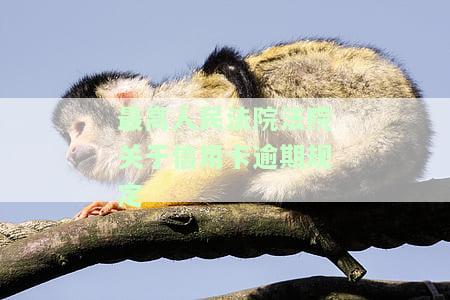 最高人民法院法院关于信用卡逾期规定-最高人民法院法院关于信用卡逾期规定的解释