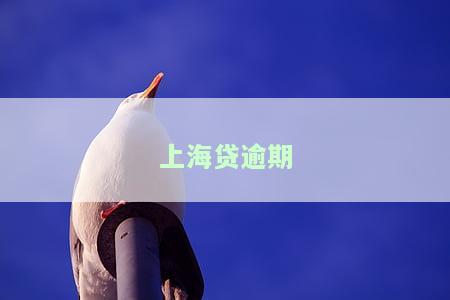 上海贷正规吗？贷款平台揭秘与风险防范