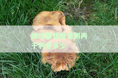 美团借钱借逾期两千利息多少