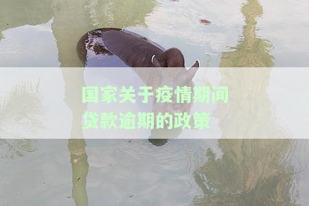 国家关于疫情期间贷款逾期的政策文件及规定