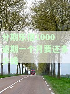 分期乐1000块逾期一个月利息及可能后果分析