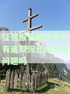 征信报告循环账户有逾期但已结清：影响及解决办法